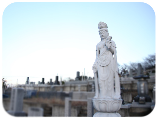 �R���@���J�R�@�ѐ򎛁@�i�㋟�{��